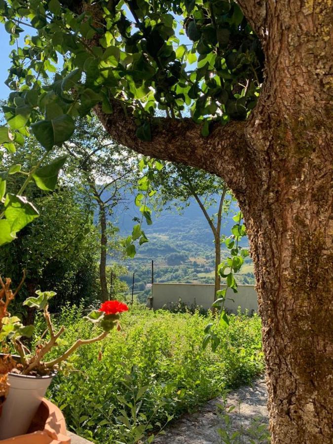B&B Al San Francesco Castel Di Sangro Exterior foto
